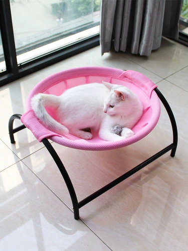 Pet Cat Gont Deep Sleep Sleep Summer Summer Cat Hous