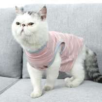 Cat clothes spring and autumn clothes thin small dog pet cat clothes anti-hair blue cat short Pet Supplies
