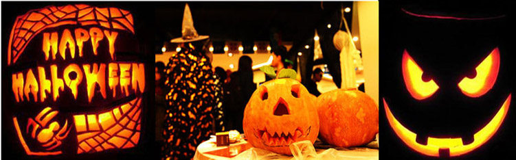 T2Ojf4XalbXXXXXXXX_!!70397076