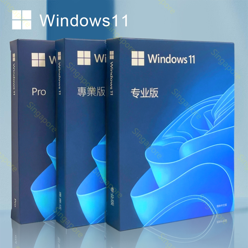 Genuine Windows 11 Professional Edition System USB Flash Drive 64-Bit Computer Installation Win10Pro Retail Color Box English Version