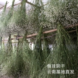 Звезды по всему небу, сухие цветы, сухой букет Yunnan, сухой букет, цветочный магазин, домашний офис, цветочный композиция, DIY Flower Mater