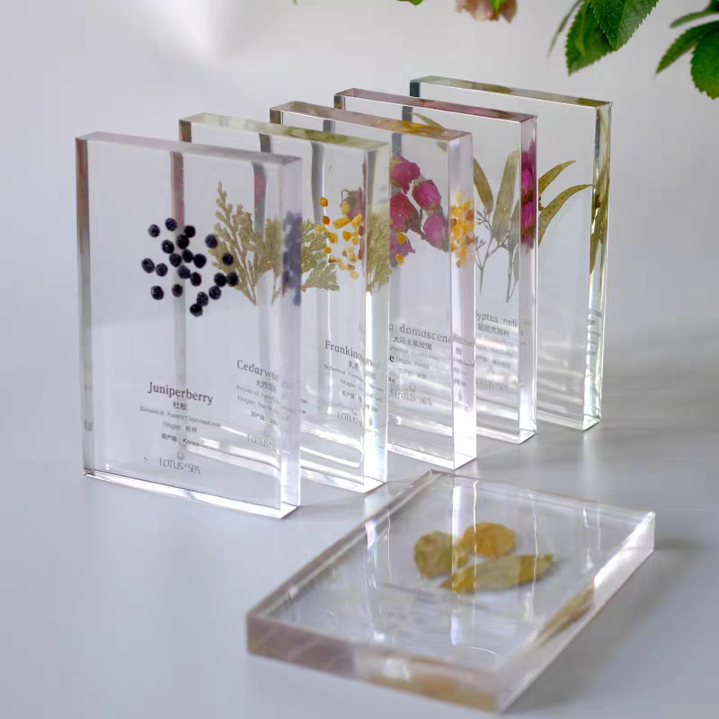 Spa Shop Cultural Wall Health Care Aromatherapy Essential Oils Plant Seeds Tea Leaves Metal Traditional Chinese Medicine Wax Leaf Specimens Resin Ornaments