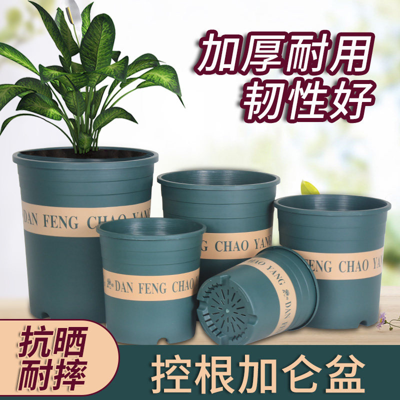 New gallon pots, thickened plastic flowerpots, golden ge succulent roses, balcony flowerpots, flowerpot trays