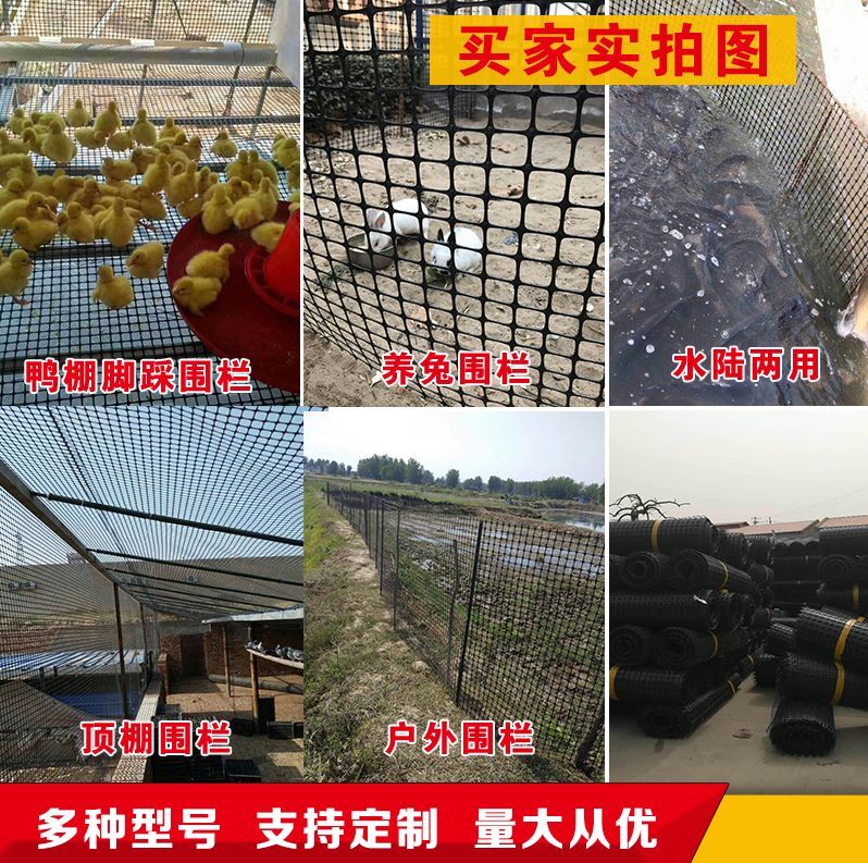 Breeding Chicken Fencing Nets Outdoor Nets Breeding Nets Plastic Mesh Fence Mesh Fence Mesh Thickened Leaking Manure Mesh Grid