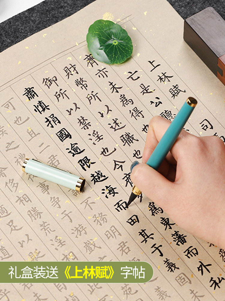 Zifangzhai Fountain Pen-Style Brush Pen, Soft Pen, Wolf Hair Small Regular Script Refillable Fountain Pen, Adult Professional Calligraphy Pen, Regular Script Water Brush Pen, Elegant Pen, Portable Ink Cartridge Scientific Brush Pen