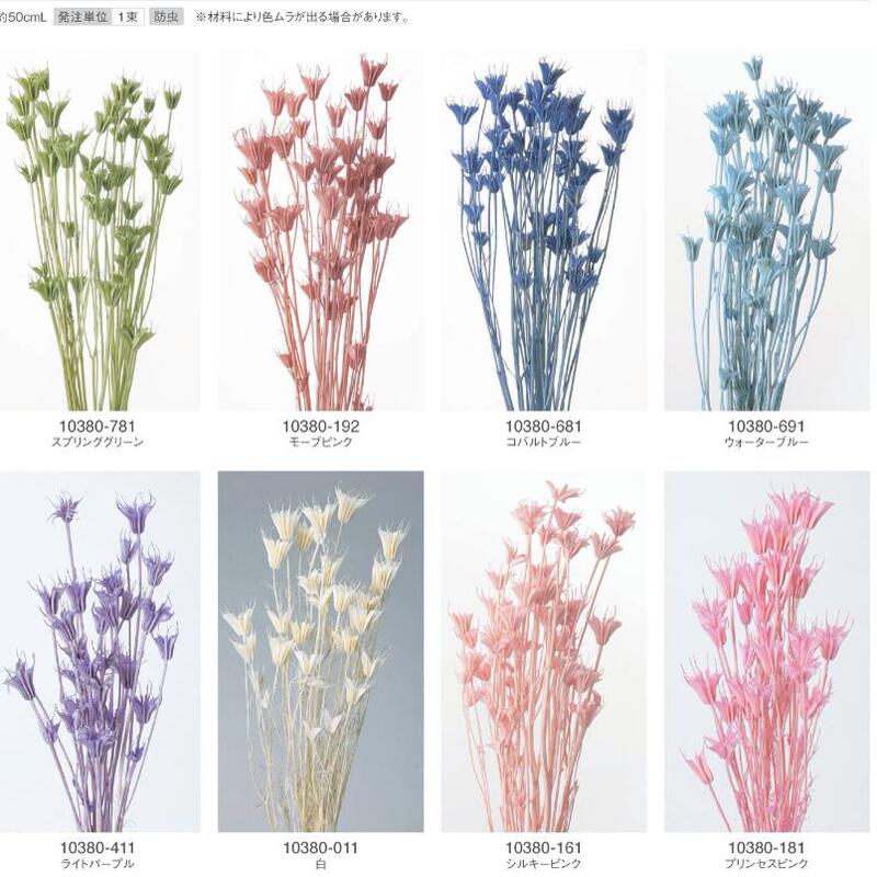 Colorful Octagonal Sesame Flower Imported from Dadi Farm 10380 Vase Decoration DIY Glass Cover Flower Box Photo Frame with Flowers Colorful Octagonal Sesame Flower Imported from Dadi Farm 10380 Vase Decoration DIY Glass Cover Flower Box Photo Frame with Flowers