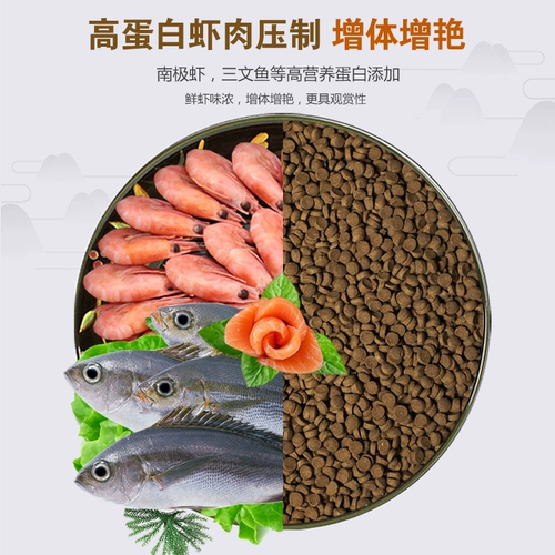 Тонущая рыба пища кои рыбы кормит кровь попугай кошка кошка, тонущая цихлид маленький виноград маленький виноград Общее виноград