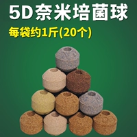 5D Nanopotacus (около 20 фунтов)