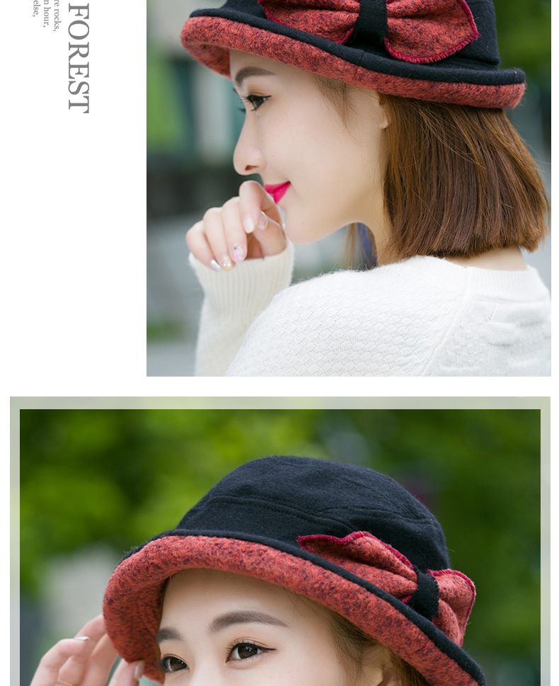Chapeau pour femme      en Melange de laine - Ref 3233463 Image 11