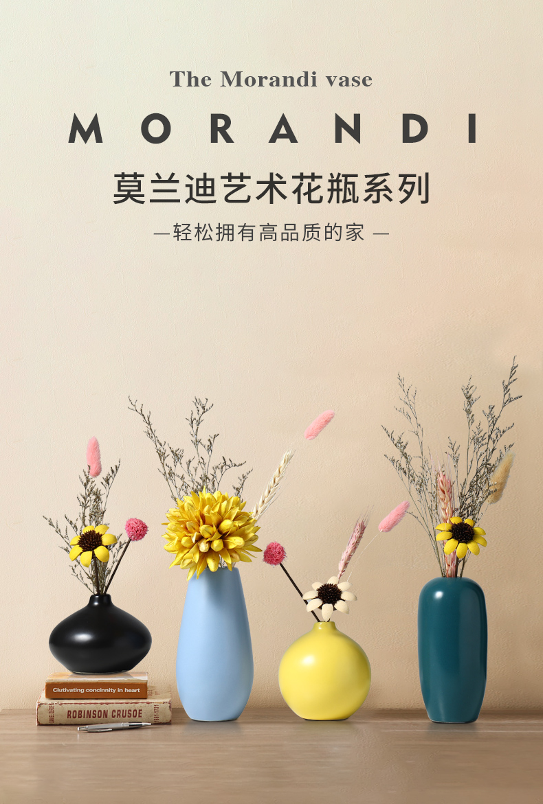 Creative home light key-2 luxury ceramic vase furnishing articles all over the sky star TV ark, dried flowers, flower arrangement table sitting room adornment ornament