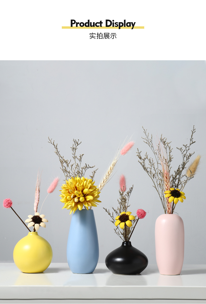 Creative home light key-2 luxury ceramic vase furnishing articles all over the sky star TV ark, dried flowers, flower arrangement table sitting room adornment ornament