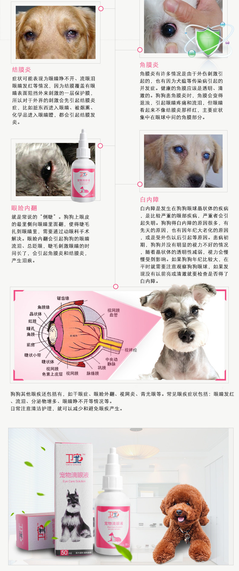 Вэй Чонг капает глаз описание 1-150706 Ding_14.jpg