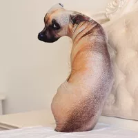 65 см охотничьих собак (снос и мытье)