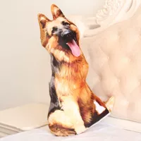 90 см овчарка (мытье разборка)