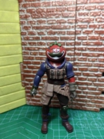 3.75 помидоров