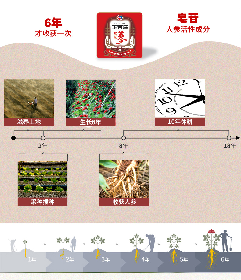 韩国正官庄6年根高丽参茶养生茶3g/包*25包