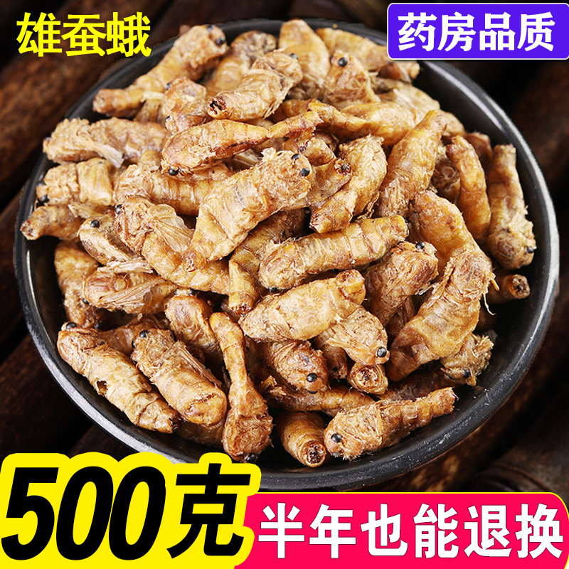Male Silkworm Moth 500g Bubble Wine Male Silkworm Moth Powder Chinese Herbal Medicine Nourishing silkworm moth pure male silkworm moth male without mating and ending