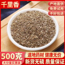 Qianli Fragrant 500g dill seed Qilixiang Chinese herbal medicine spice seasoning dry wholesale