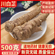 Angelica spice whole Angelica dahurica Chinese herbal medicine Chuanbai Zhigen Angelica powder mask seasoning 500g