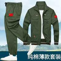 Стиль второй армия зеленый [национальный фонд флаг] костюм