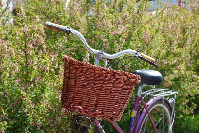 Panier pour vélo - Ref 2258030 Image 11