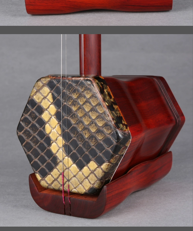 Guoyue Erhu Tờ rơi Rosewood Erhu Chơi Erhu Erhu Nhạc cụ Rosewood Erhu - Nhạc cụ dân tộc