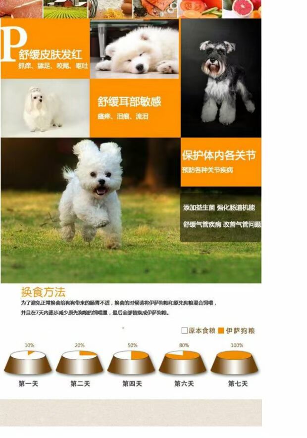 Thức ăn cho chó Isa Effie 10kg lông vàng hơn so với Xiong Bomei chó nhỏ và trung bình thức ăn cho chó trưởng thành SF Vân Nam - Chó Staples thức ăn cho chó giá rẻ