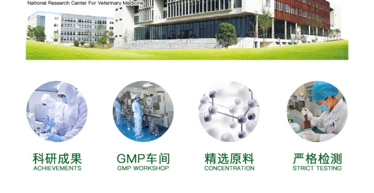 Huizhong cảm thấy Kang pet chó thuốc cảm lạnh chó con chảy nước mũi ho viêm phế quản mèo hắt hơi sốt thuốc - Cat / Dog Medical Supplies Dụng cụ thú y giá sỉ