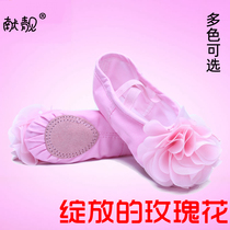 Childrens dance shoes girls ballet shoes dancing shoes soft soles summer practice shoes shape shoes leather head cat paws pink