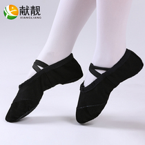 Childrens dance shoes Womens soft soled ballet leather Head Cats claw shoes mens shape shoes black dancing shoes red yoga shoes