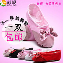 Dance shoes womens soft soled ballet shoes dance shoes children Women summer red dance shoes practice shoes White cat claw shoes