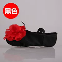 Обычная модель-черная кожа голова цветок