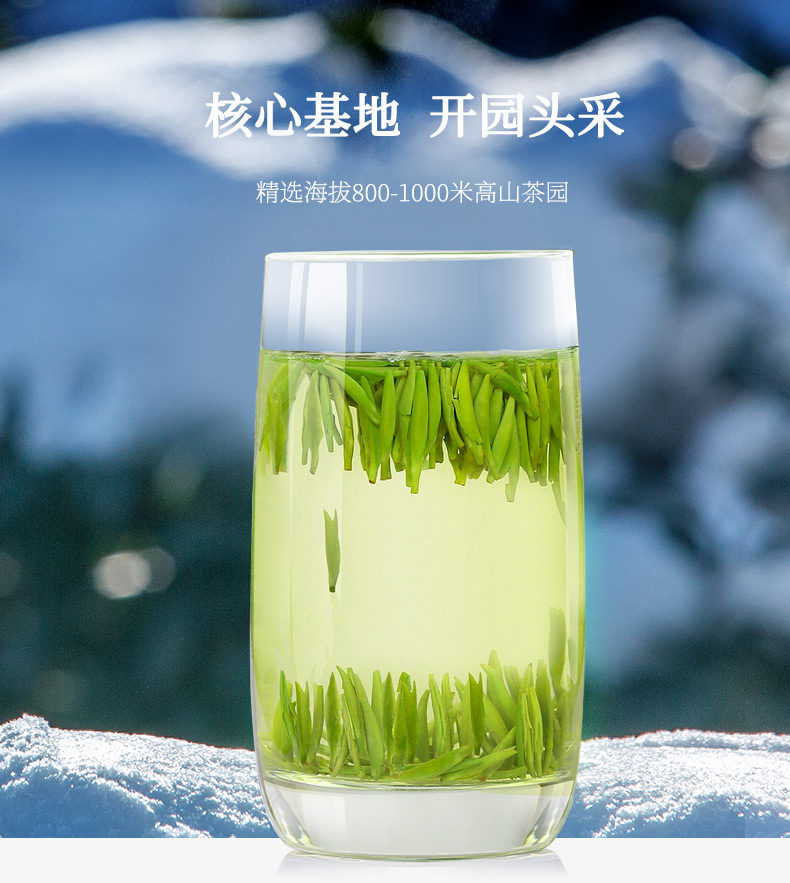 四川林湖 明前特级 雀舌春茶 100g 全芽头 图3