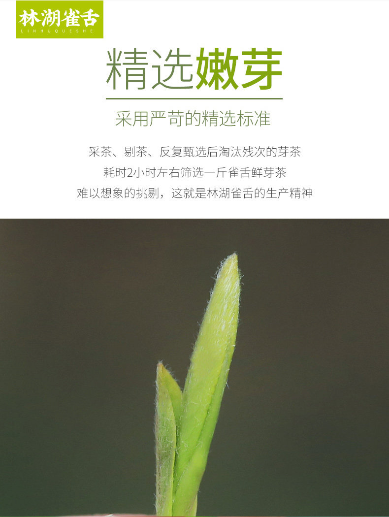 四川林湖 明前特级 雀舌春茶 100g 全芽头 图8