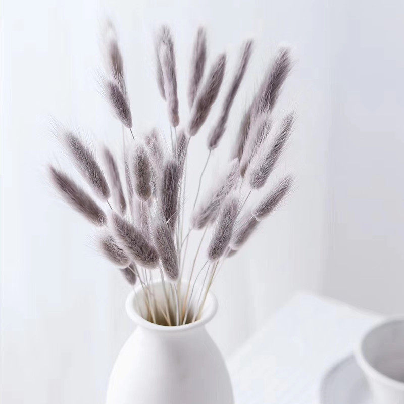 (Rabbit Tail Grass) Small Flowers Eternal Flower Rabbit Tail Grass DIY Grass Material Package Glass Cover