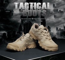 Calling Long Chunqiu Desert Boots Tactical Low Helping Combat Land Boots Mens Black Wear-resistant Special Forces Mountaineering Training Shoes