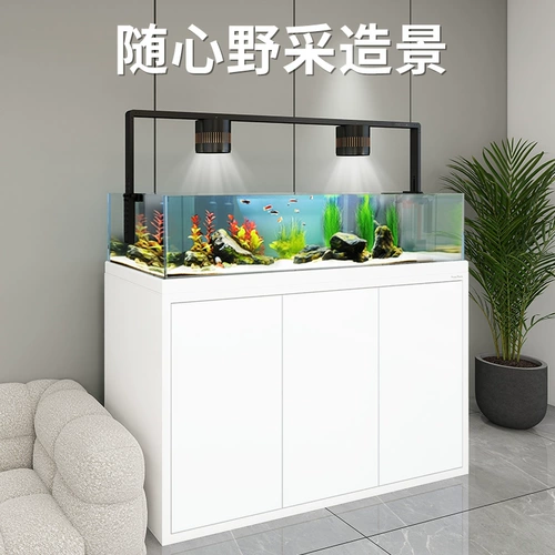 Sensen Original Ecological Wild Cixi Stream Tank Tank Tank 2024 Новый Super Room Super White Comenture Filter Filter Filter Tank