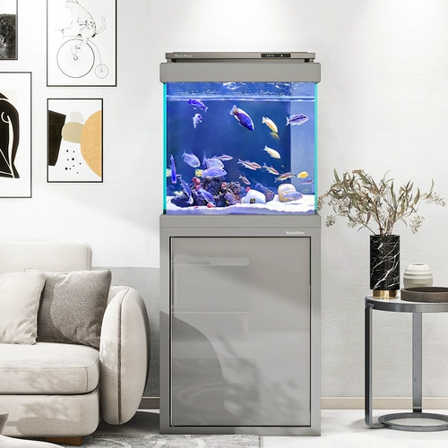 Sensen Modern Китайский аквариум, нижний фильтр Ультра-белый стеклянный маленький квадратный танк, экологический аквариум среднего размера в домашней гостиной