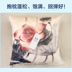 Trung Quốc sơn mực gối sofa cảnh quan đệm văn phòng retro gối giường tựa lưng với sen đệm gối vuông tựa lưng sofa Trở lại đệm / Bolsters