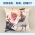 Trung Quốc sơn mực gối sofa cảnh quan đệm văn phòng retro gối giường tựa lưng với sen đệm gối kèm mền 2 in 1 Trở lại đệm / Bolsters