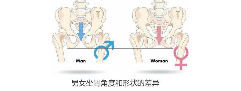 Selle de vélo Mountain Bike ACACIA - Ref 2346401 Image 7