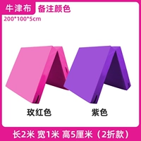 Двойное высокое качество Oxford Cloth 200x100 толщиной 5 см [цветные замечания] NZ05