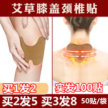 Knee patch Joint pain Bone pain patch Wormwood knee hot compress Cervical patch Neck fever patch Rich package