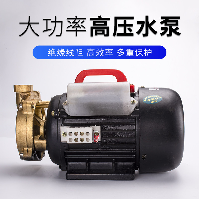 Water pump high-pressure biomass pellet boiler water adding accessories steam generator pumping water circulation cast copper water pump