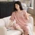 2021 Bộ đồ ngủ mới Phụ nữ mùa hè Cotton mỏng tay ngắn Seven Quần Casual Net Red Explosion Home Service Suit quan ao ngu cho nguoi cao tuoi Giống cái