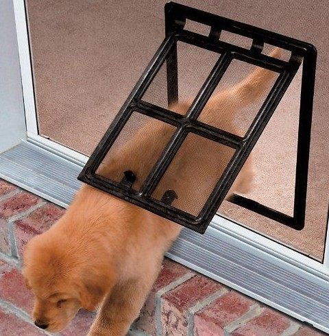 Summer pet screen window door cat door hole dog hole Pet dog screen window cat and dog screen window door Anti-mosquito screen window door safety