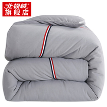 (Clearance)Quilt Winter quilt thickened warm spring and autumn quilt core double space quilt quilt mattress single student
