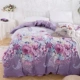 Beiji Rồng đơn miếng bông chăn sinh viên độc thân quilt 1,5m 1.8m bông đôi chăn 200 * 230 - Quilt Covers