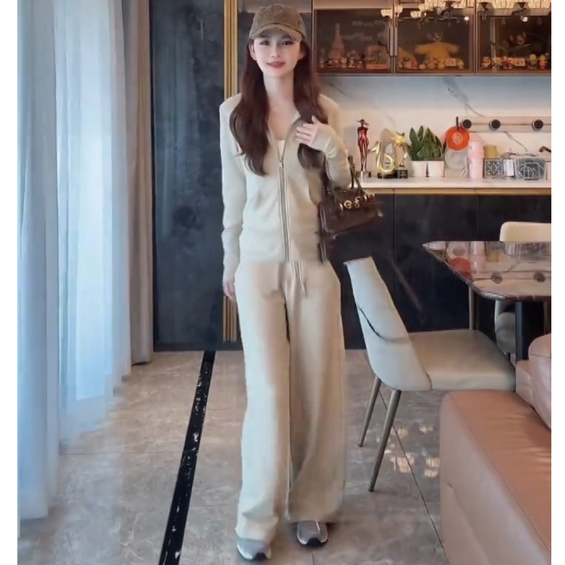 Autumn Ootd Outfit: a Complete Set of Korean-Style High-End Solid Color Stand-Collar Casual Jacket and Wide-Leg Pants Two-Piece Set for Women