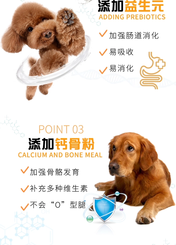 Thức ăn cho chó trưởng thành Thức ăn cho chó trưởng thành Chó nhỏ Teddy chó trung bình và chó lớn Chó tha mồi vàng Labrador 40 loại phổ 10kg20 kg - Chó Staples